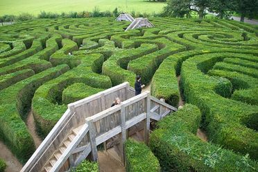 Peace Maze